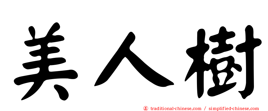 美人樹