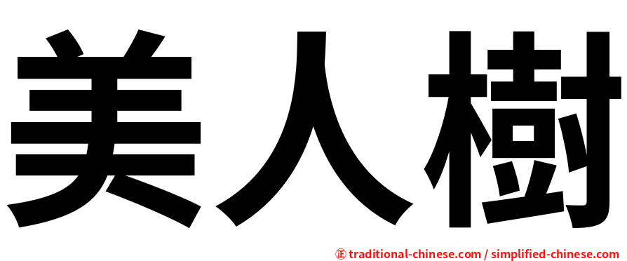 美人樹