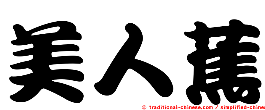 美人蕉