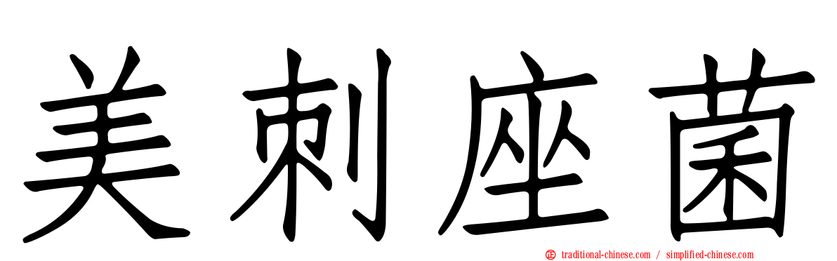 美刺座菌