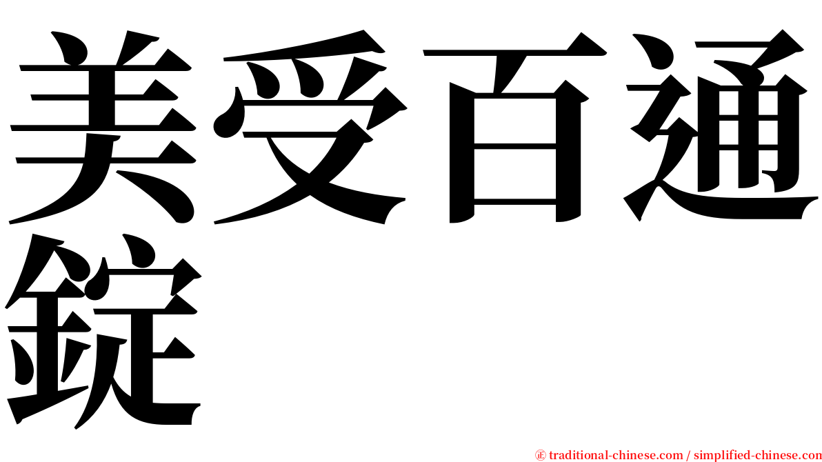 美受百通錠 serif font