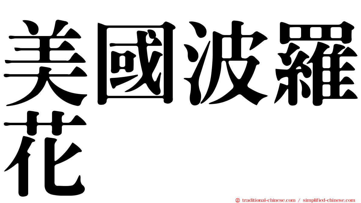 美國波羅花