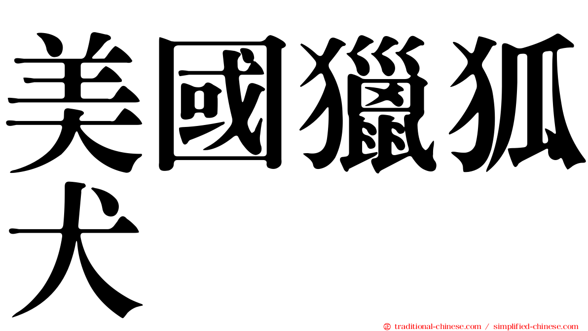 美國獵狐犬
