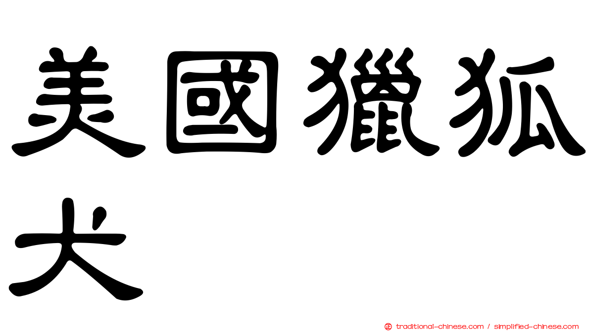 美國獵狐犬