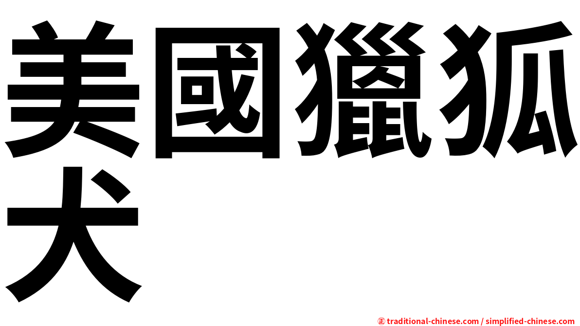 美國獵狐犬