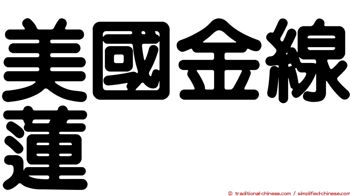 美國金線蓮