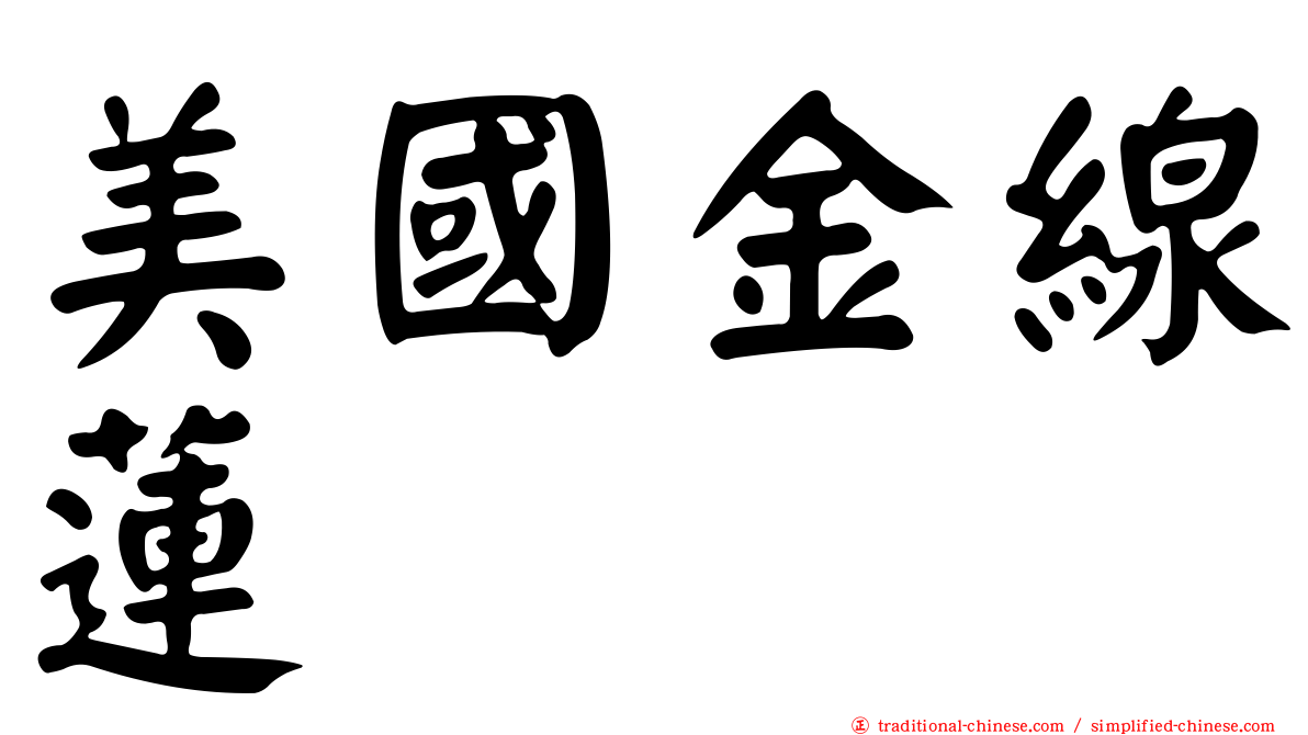 美國金線蓮