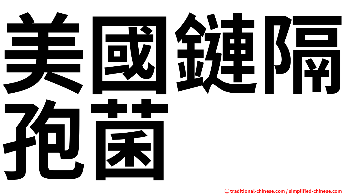 美國鏈隔孢菌