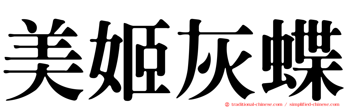 美姬灰蝶