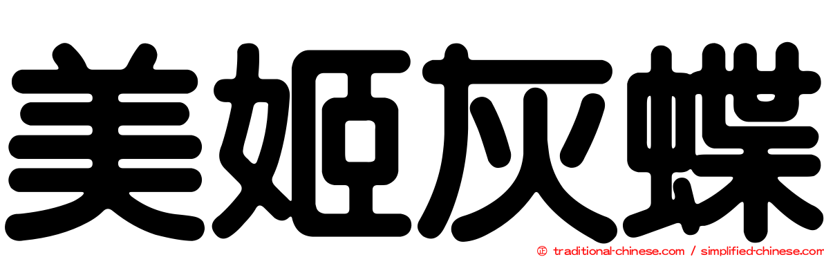 美姬灰蝶