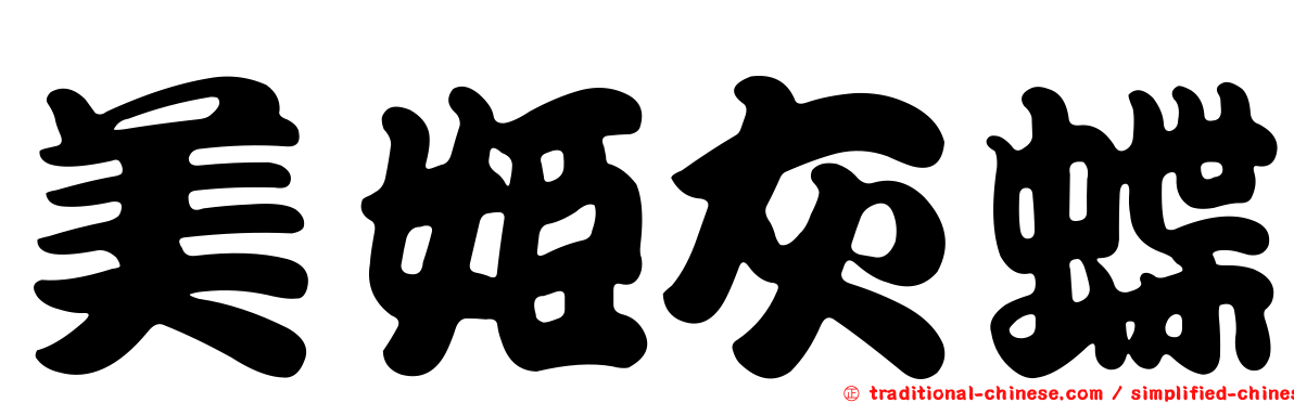 美姬灰蝶