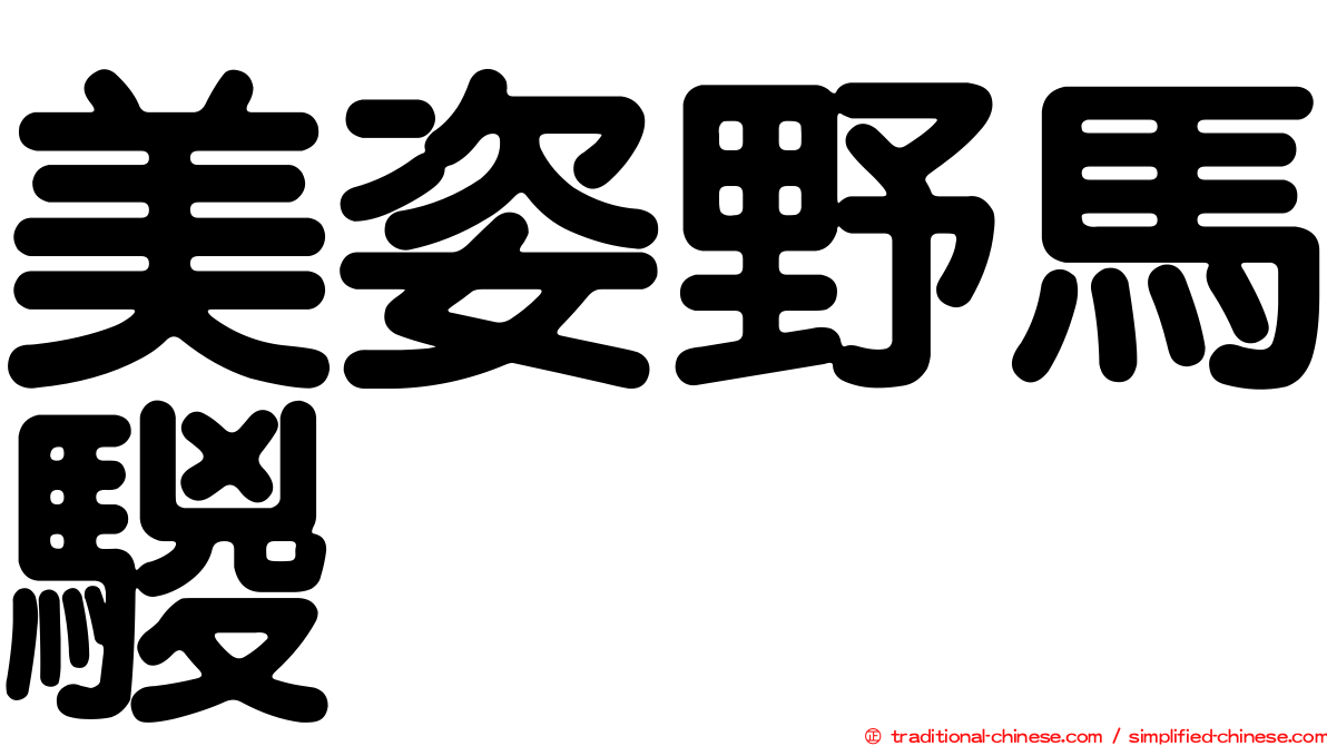 美姿野馬騣