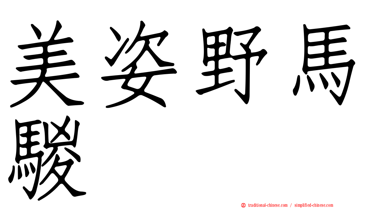 美姿野馬騣