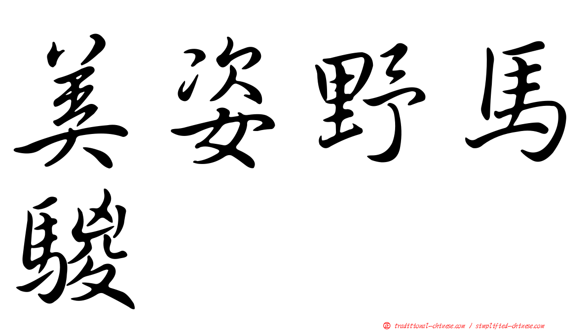 美姿野馬騣