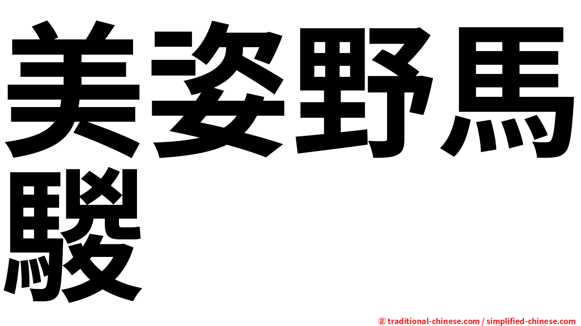 美姿野馬騣