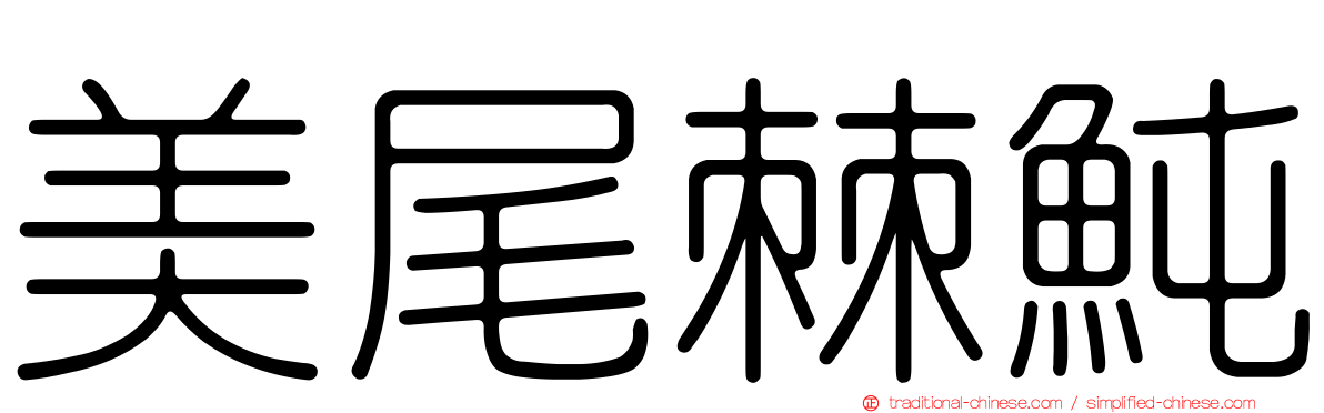 美尾棘魨