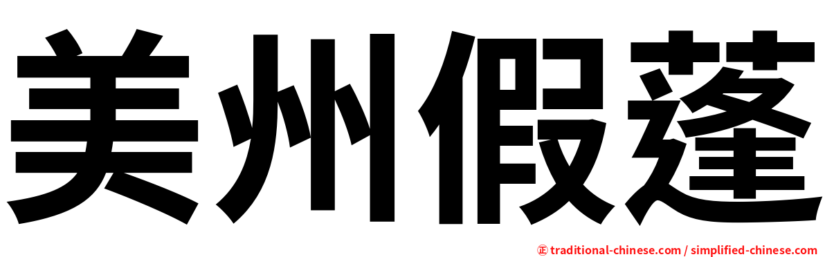 美州假蓬