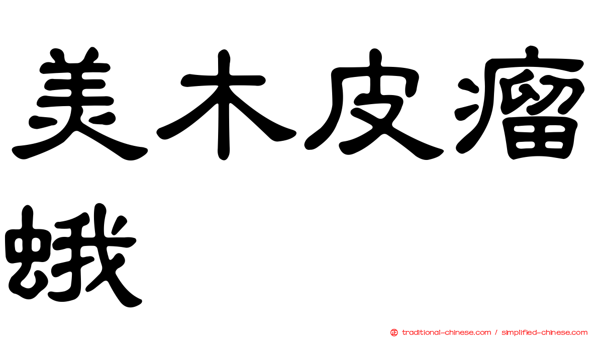 美木皮瘤蛾