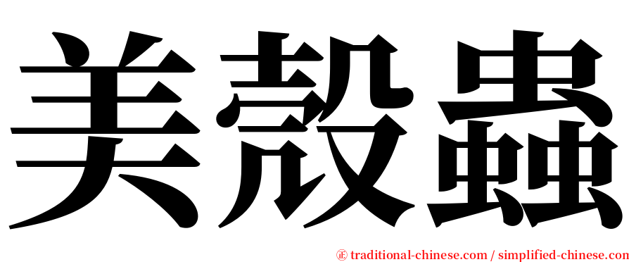 美殼蟲 serif font