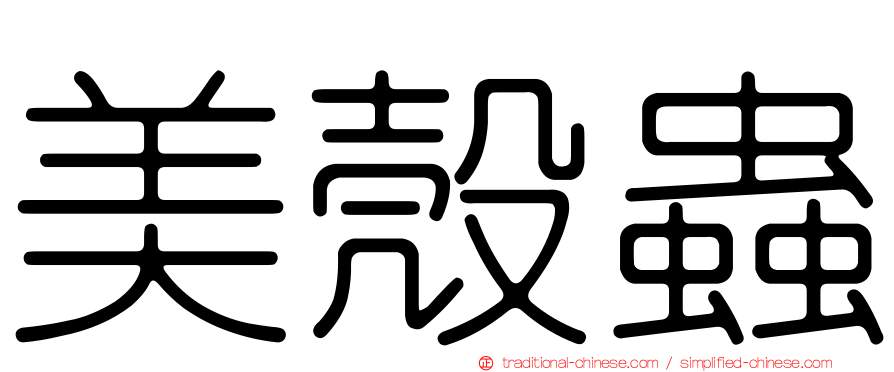 美殼蟲