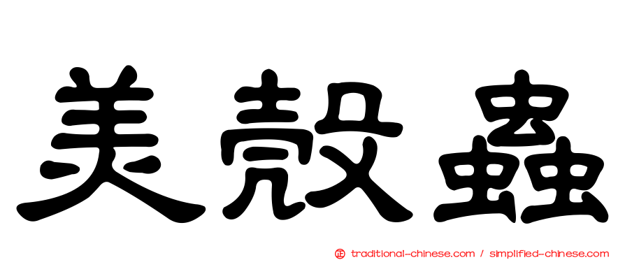 美殼蟲
