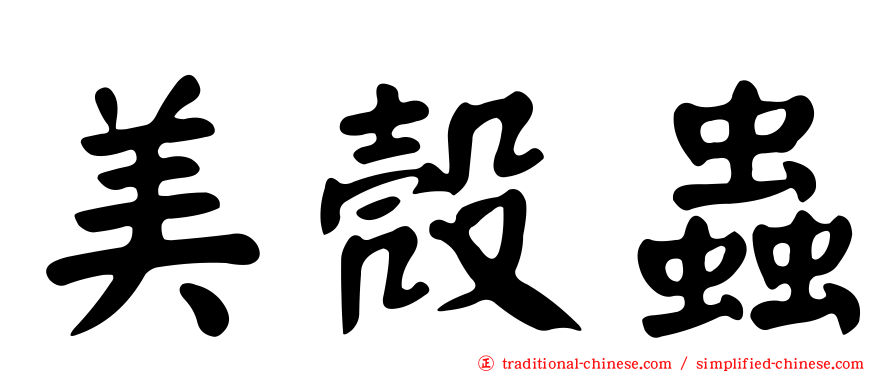 美殼蟲