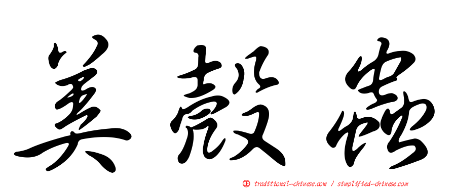 美殼蟲