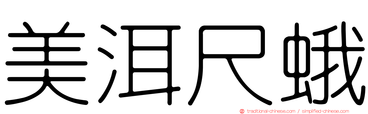 美洱尺蛾