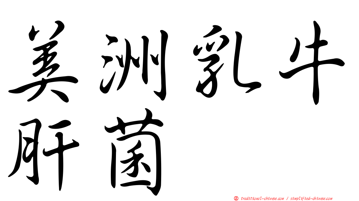 美洲乳牛肝菌