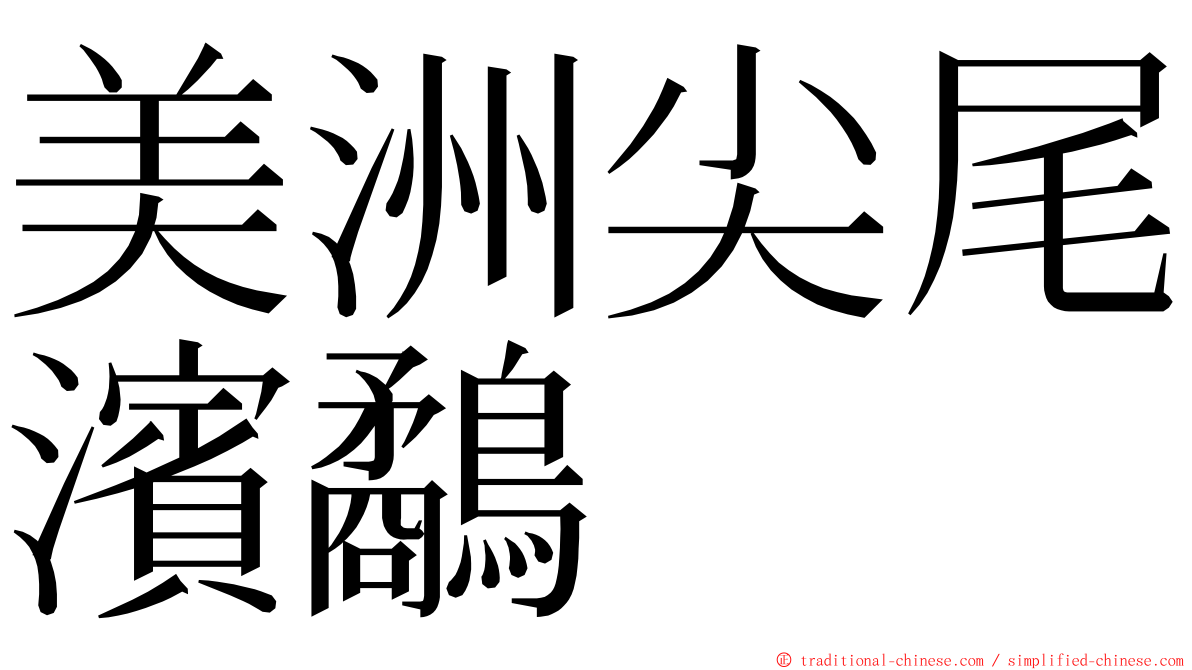 美洲尖尾濱鷸 ming font