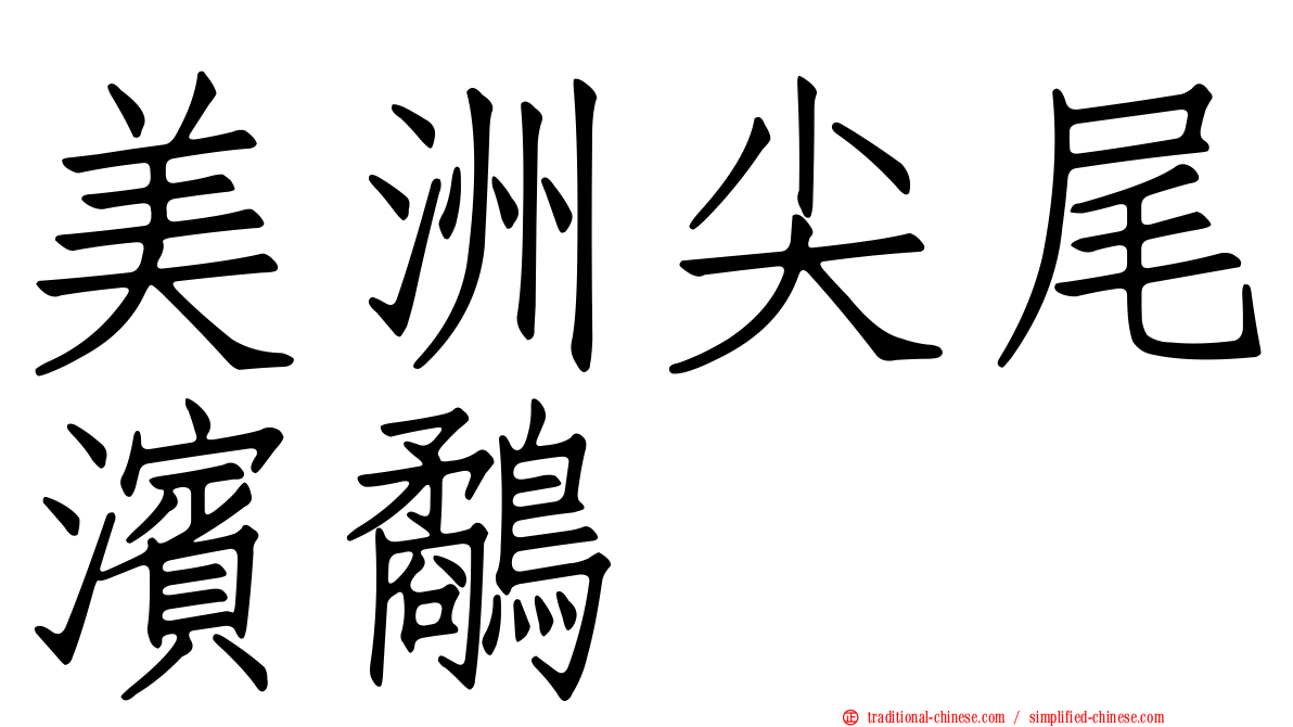 美洲尖尾濱鷸