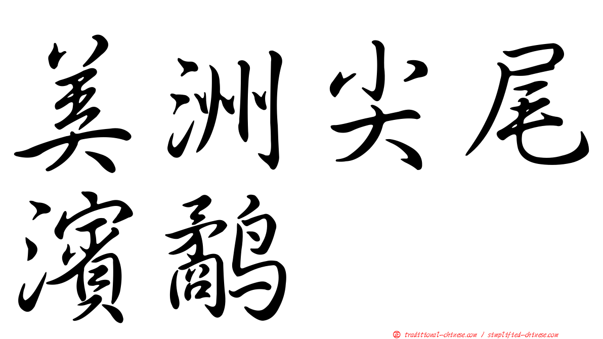 美洲尖尾濱鷸