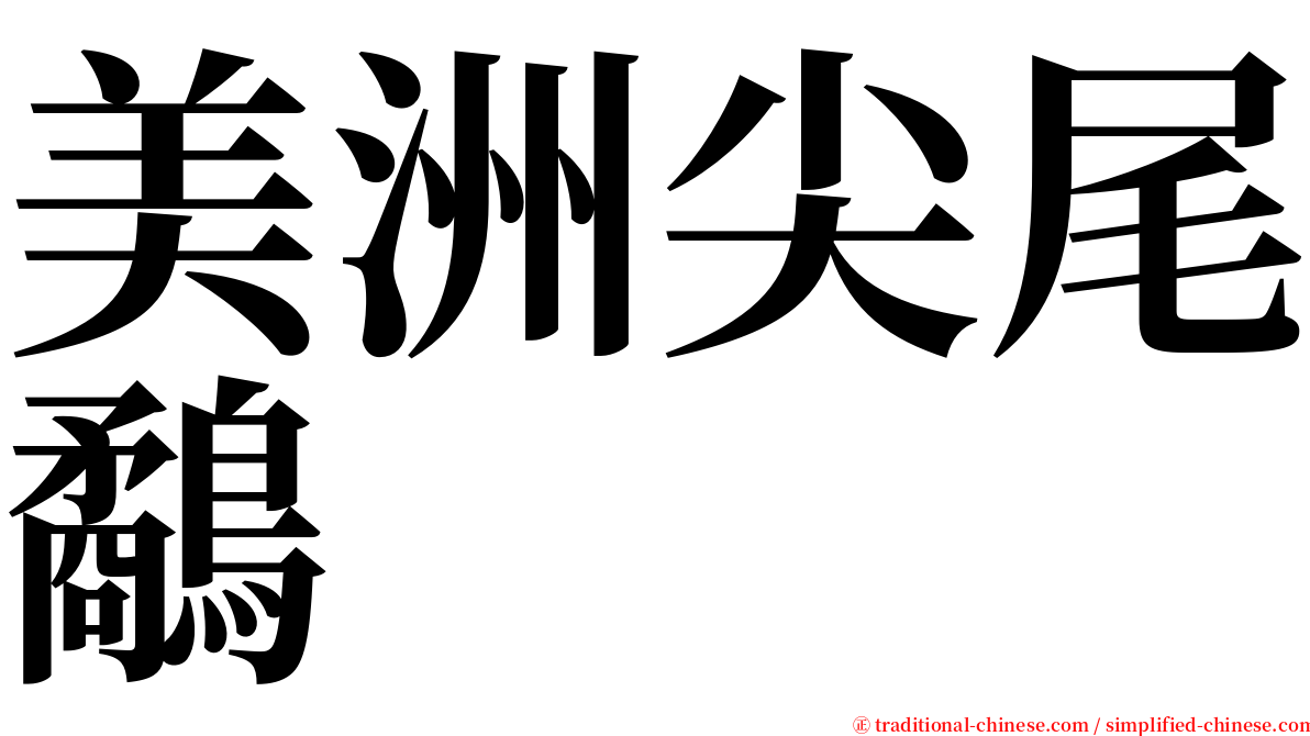 美洲尖尾鷸 serif font