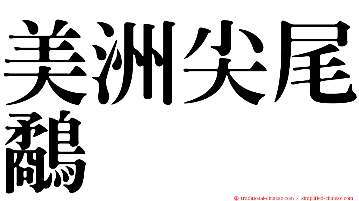 美洲尖尾鷸