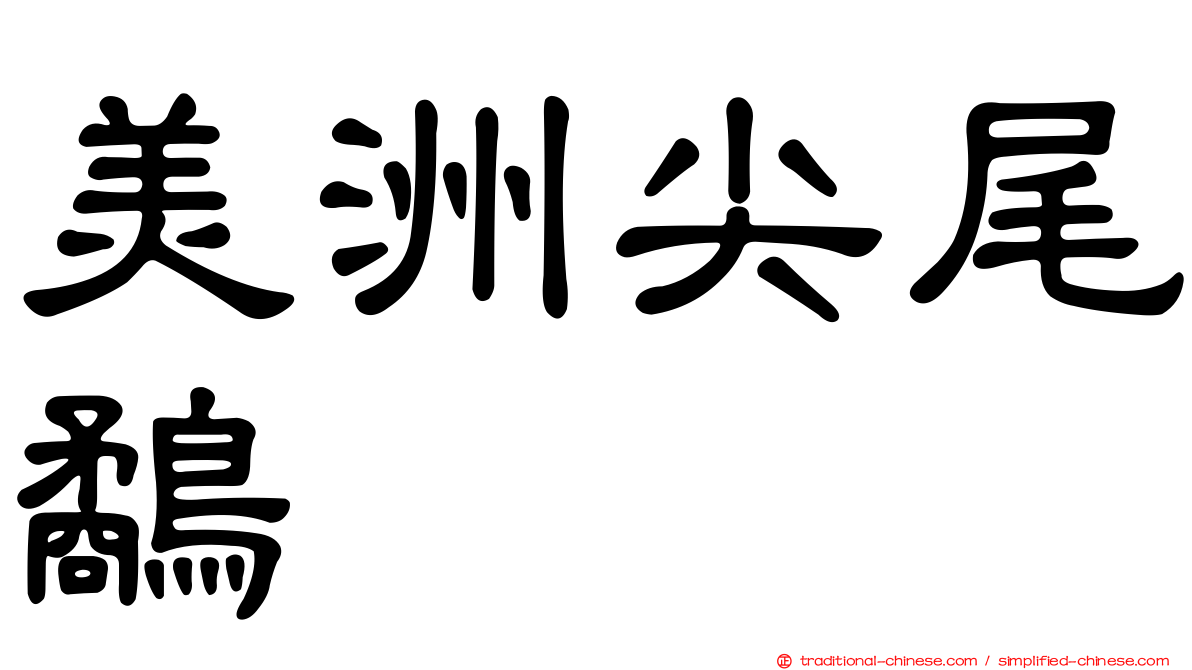 美洲尖尾鷸