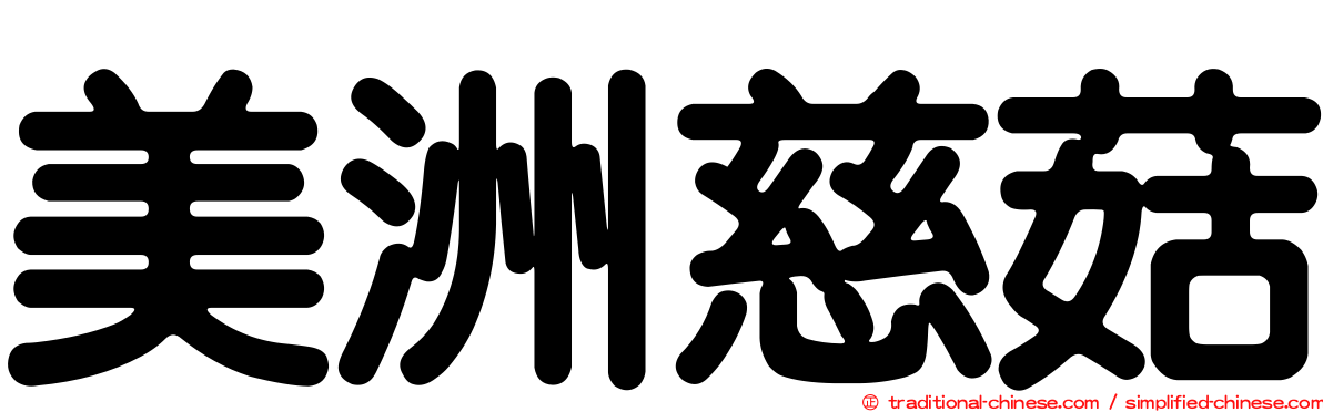 美洲慈菇