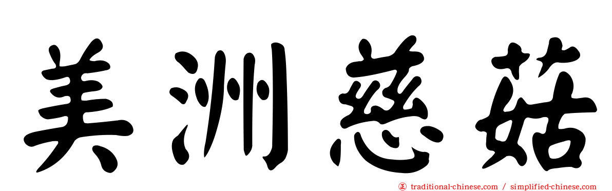 美洲慈菇
