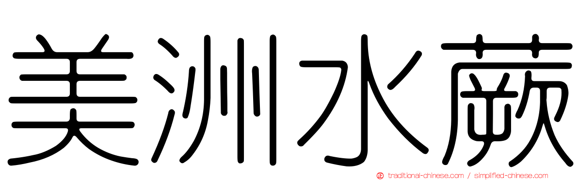 美洲水蕨