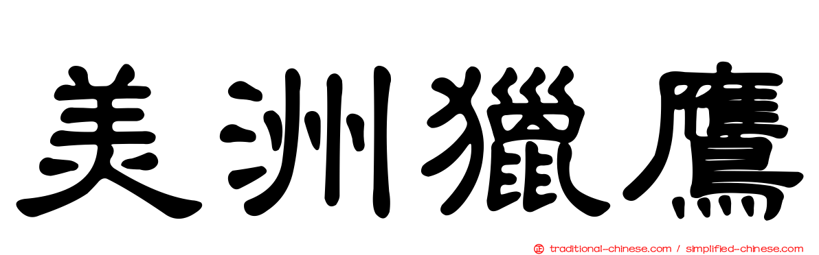 美洲獵鷹