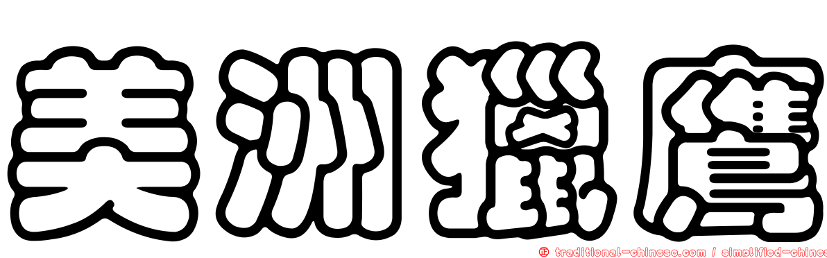 美洲獵鷹