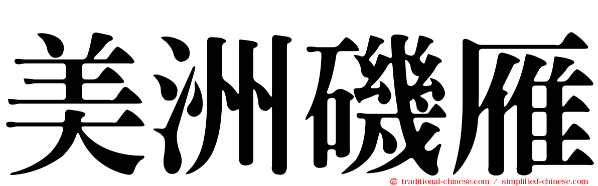 美洲磯雁