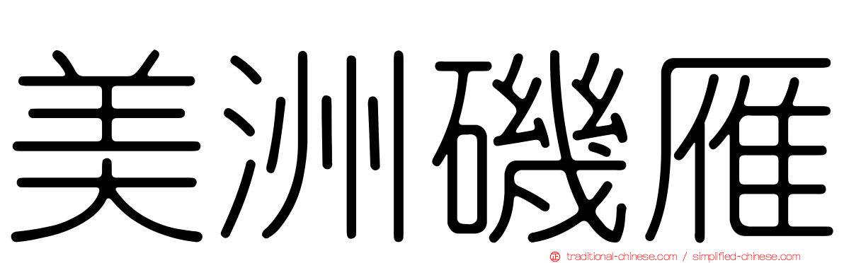 美洲磯雁