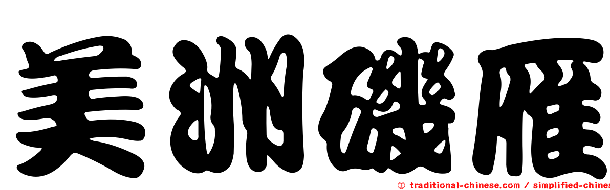 美洲磯雁