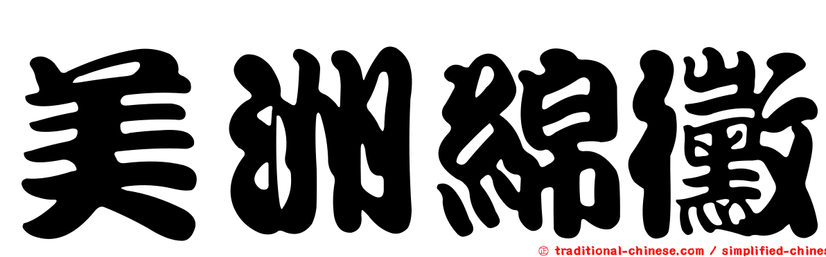 美洲綿黴