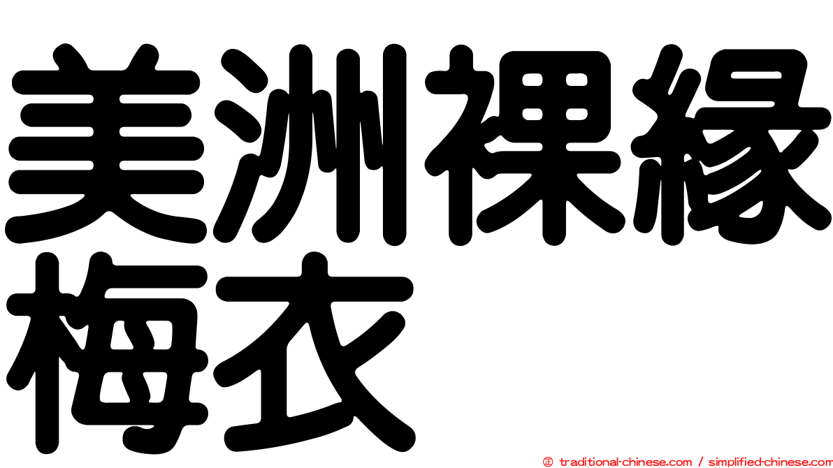 美洲裸緣梅衣