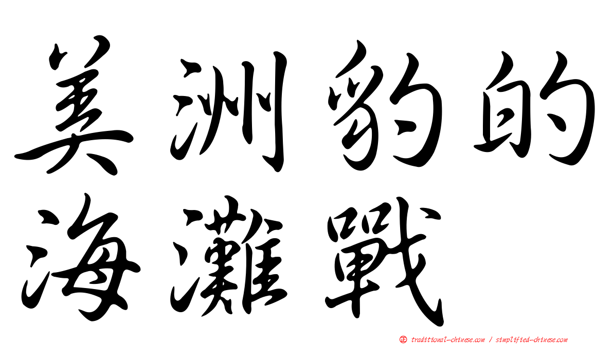 美洲豹的海灘戰