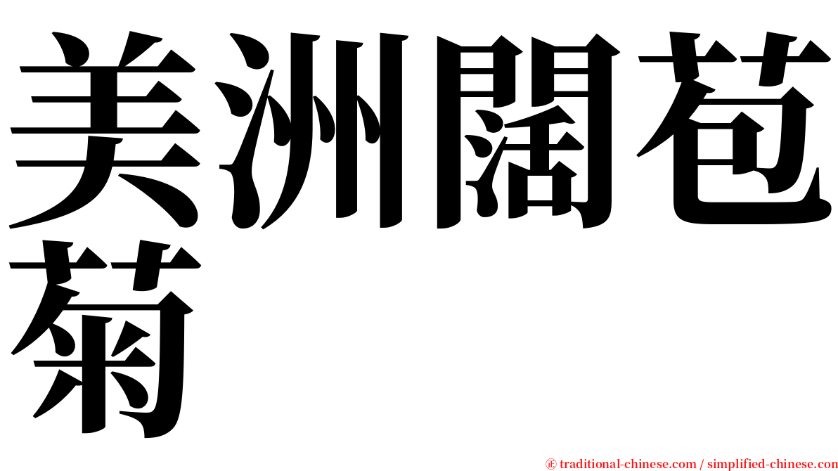 美洲闊苞菊 serif font