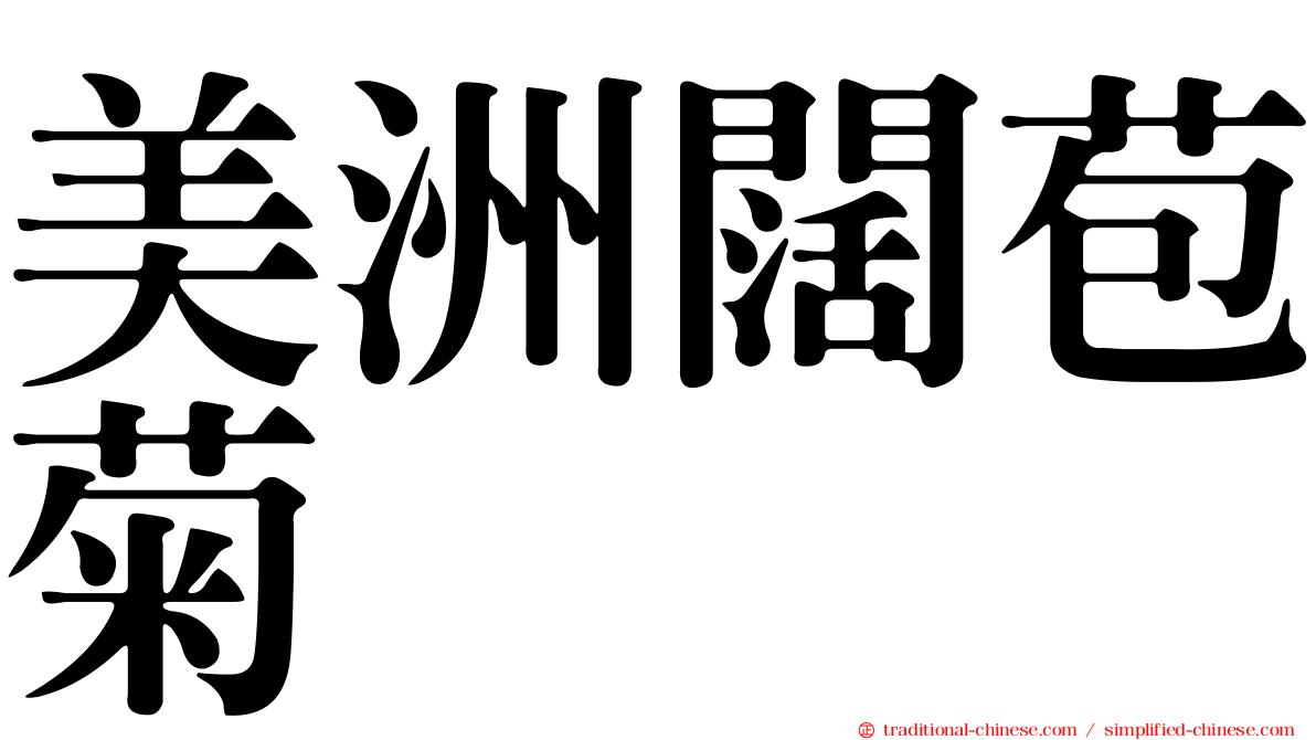 美洲闊苞菊