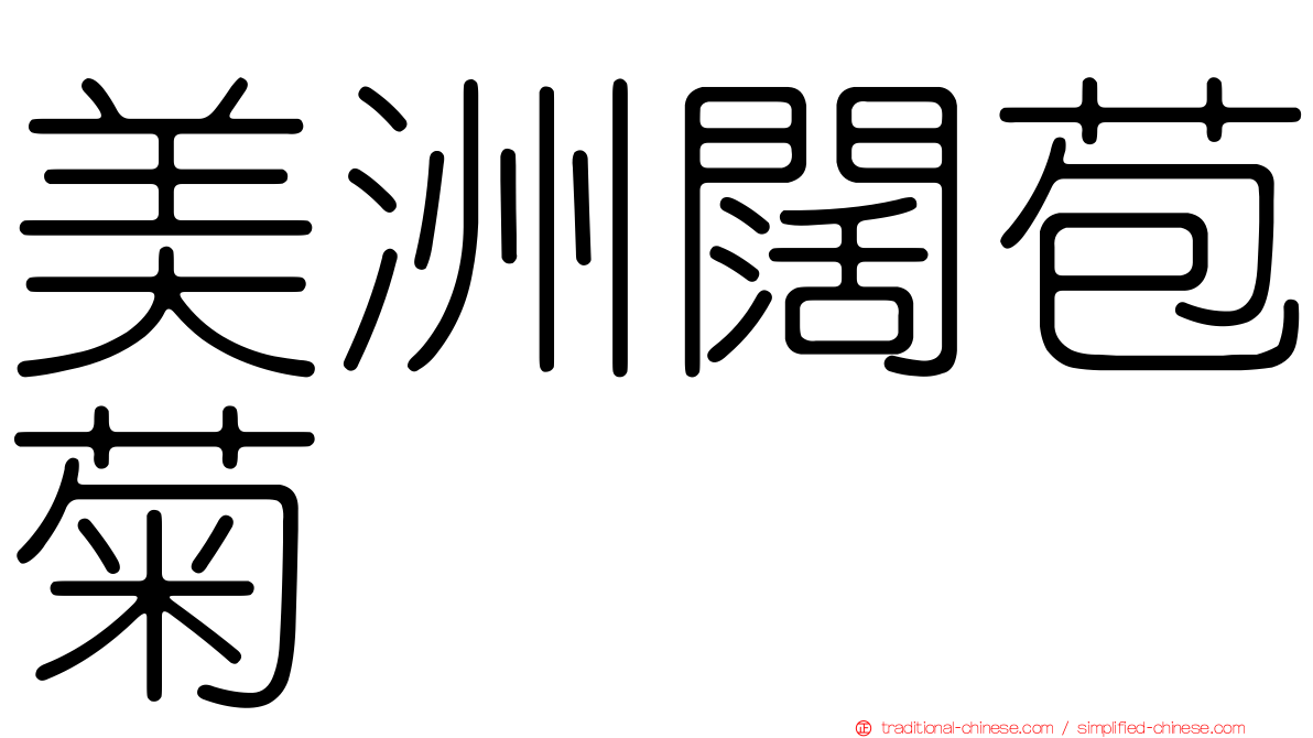 美洲闊苞菊