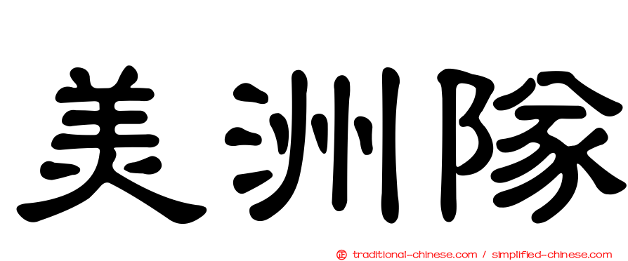 美洲隊
